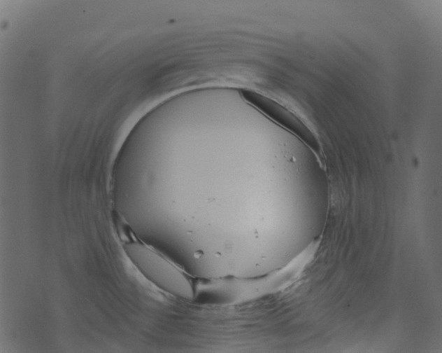 X0000073461532200608251719