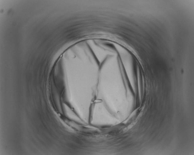 X0000073461533200608251719