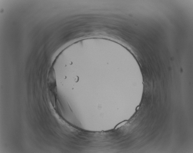 X0000073461534200608251719