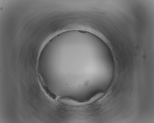 X0000073461536200608251719