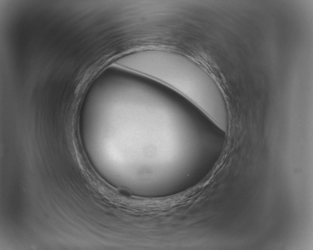 X0000073470001200607281111