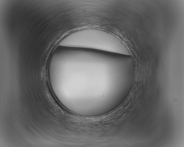 X0000073470002200607281111