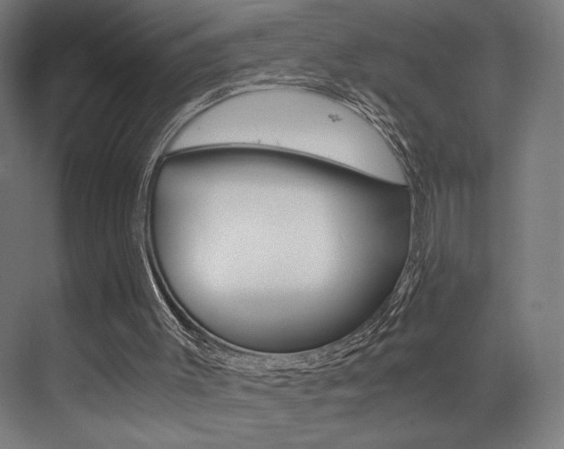 X0000073470003200607281111