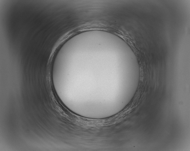 X0000073470004200607281111