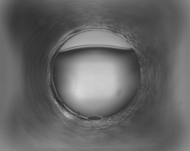 X0000073470005200607281111