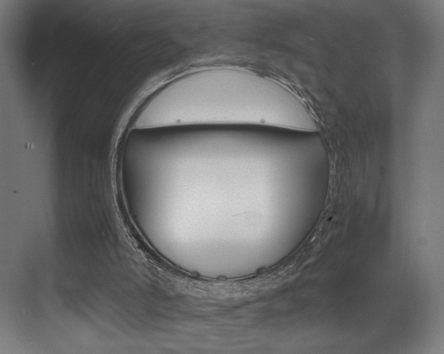 X0000073470006200607281111