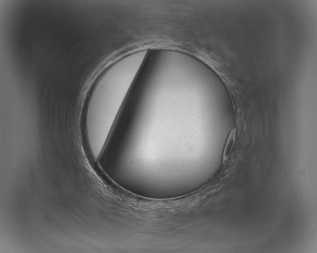 X0000073470007200607281111