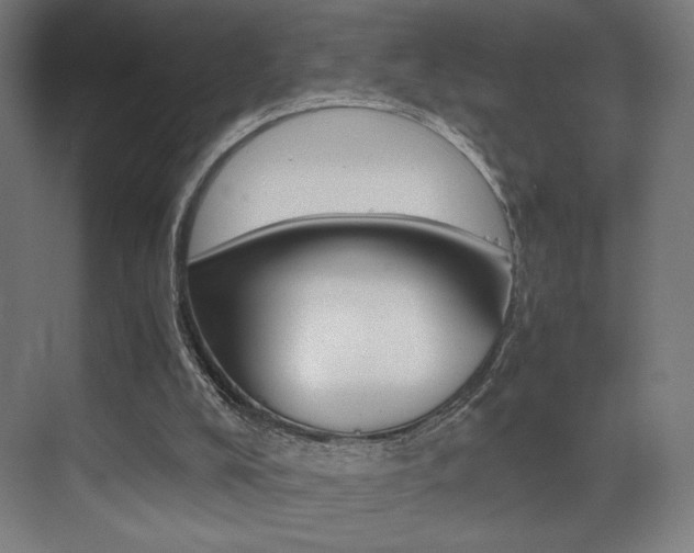 X0000073470008200607281111