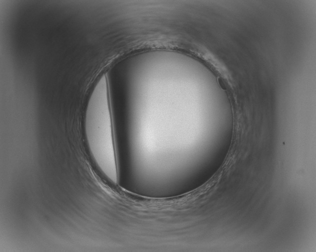 X0000073470009200607281111