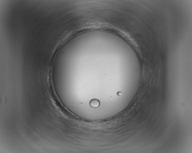 X0000073470010200607281111