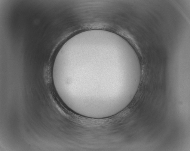 X0000073470012200607281111