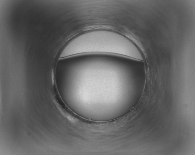 X0000073470013200607281111