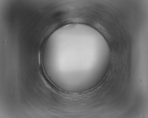 X0000073470014200607281111