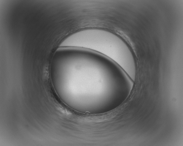 X0000073470017200607281110