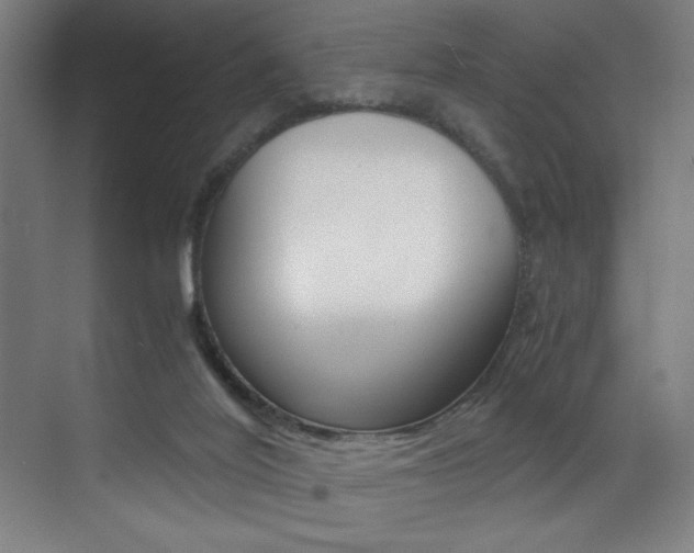 X0000073470020200607281110