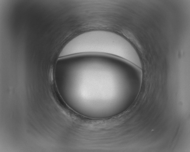 X0000073470021200607281110