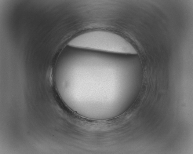 X0000073470024200607281110