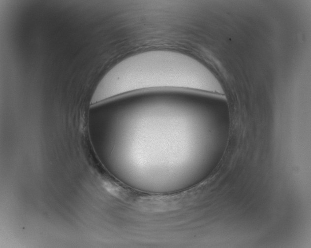 X0000073470025200607281110