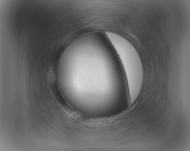 X0000073470029200607281110