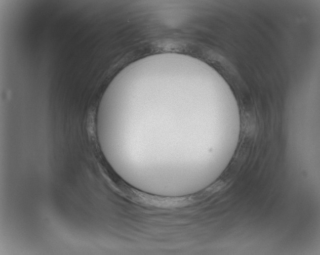 X0000073470036200607281110