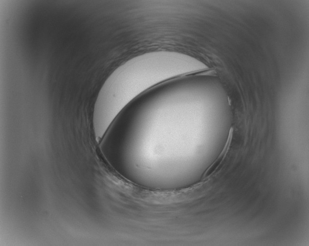 X0000073470037200607281110