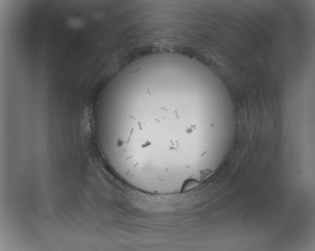 X0000073470038200607281110