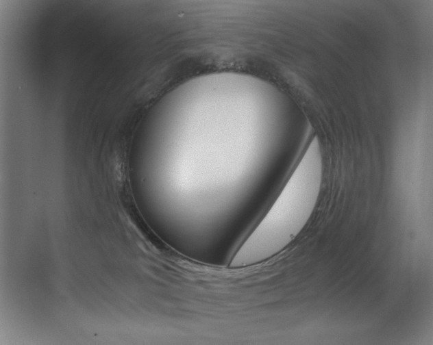 X0000073470039200607281110