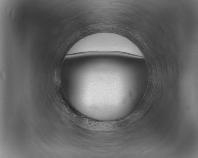 X0000073470044200607281110