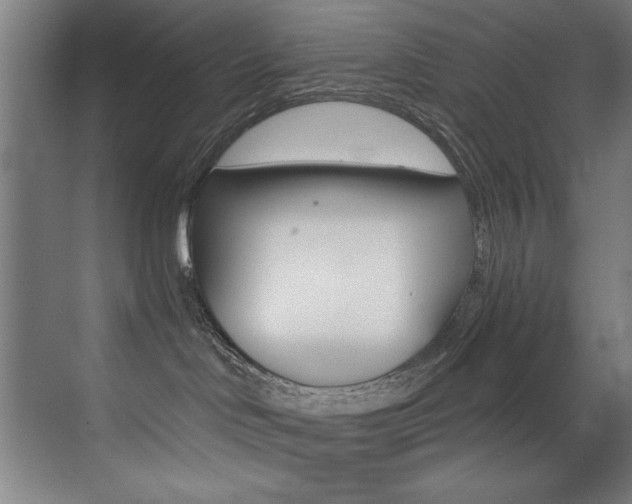 X0000073470046200607281110