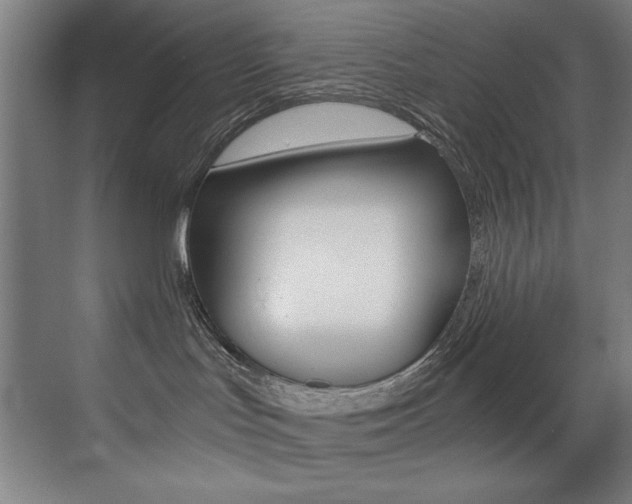 X0000073470047200607281110