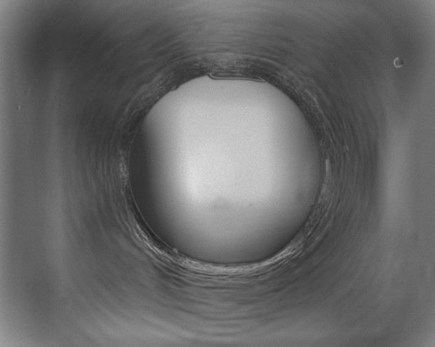 X0000073470048200607281110