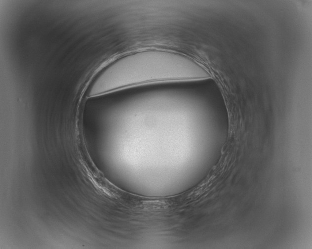 X0000073470050200607281109