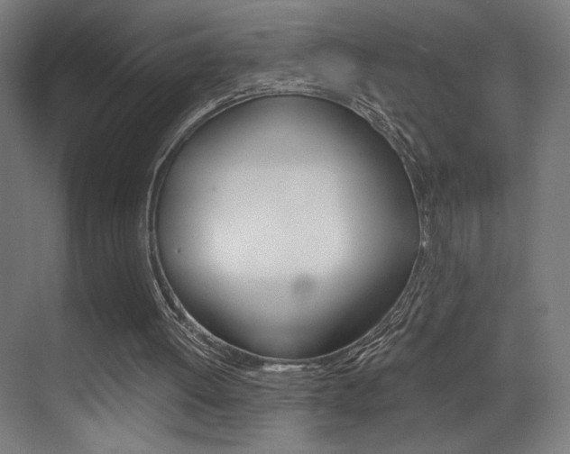 X0000073470052200607281109