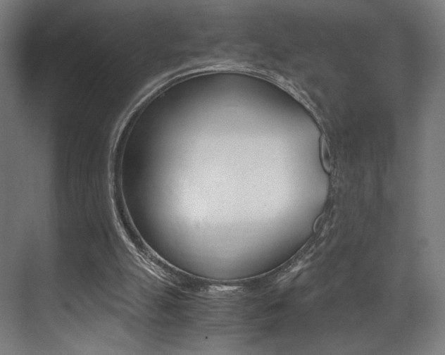 X0000073470055200607281109