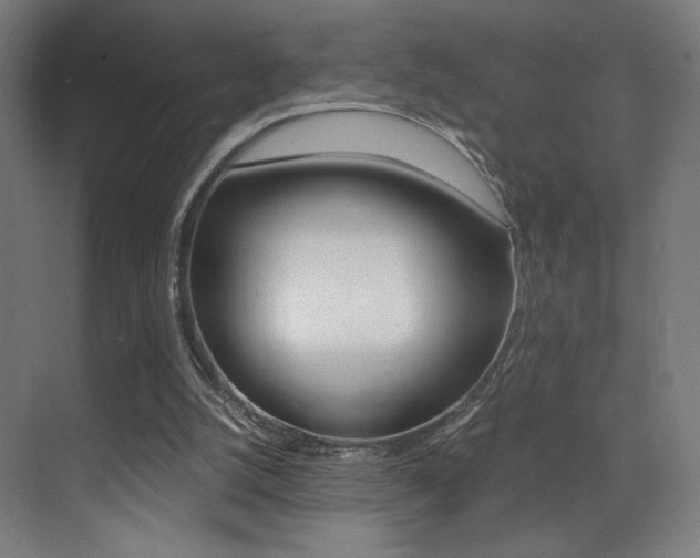 X0000073470056200607281109