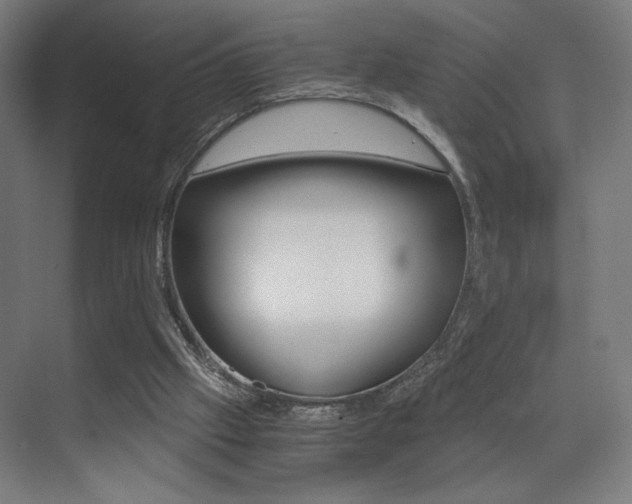 X0000073470057200607281109