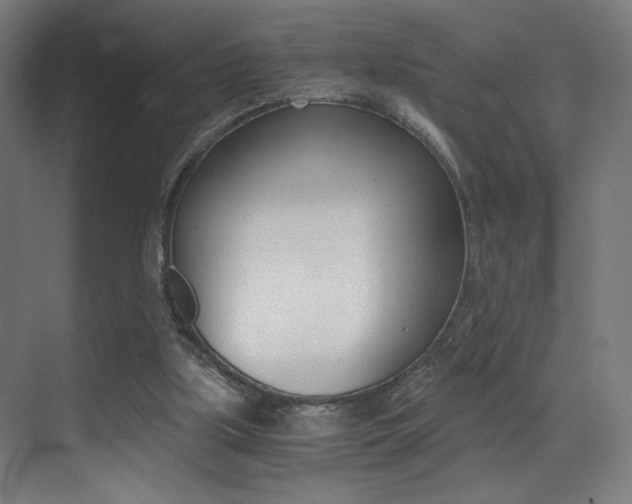 X0000073470059200607281109