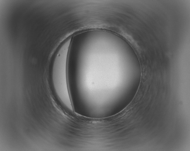 X0000073470060200607281109