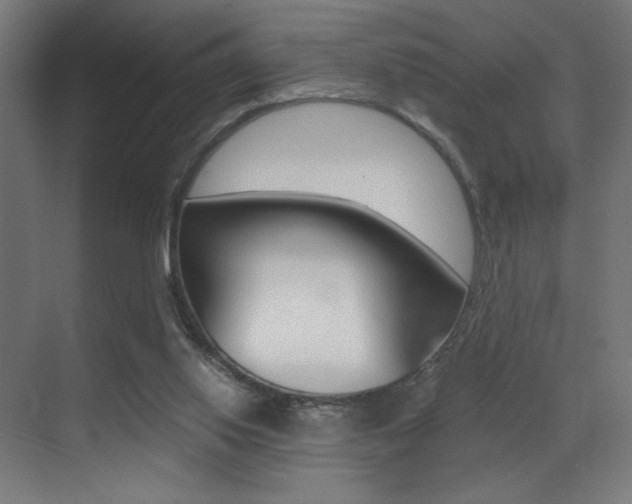 X0000073470062200607281109
