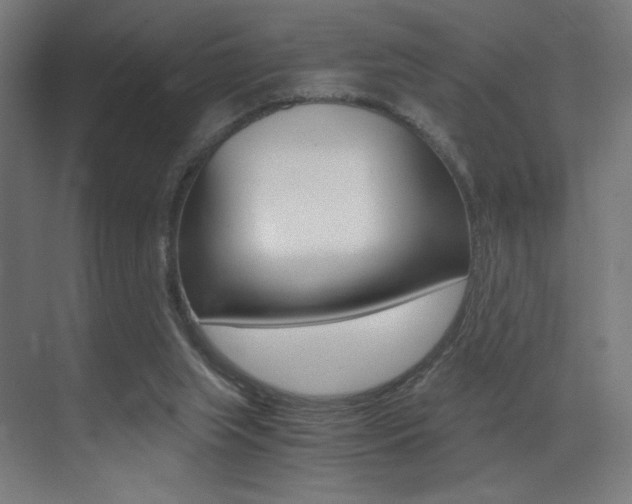 X0000073470063200607281109