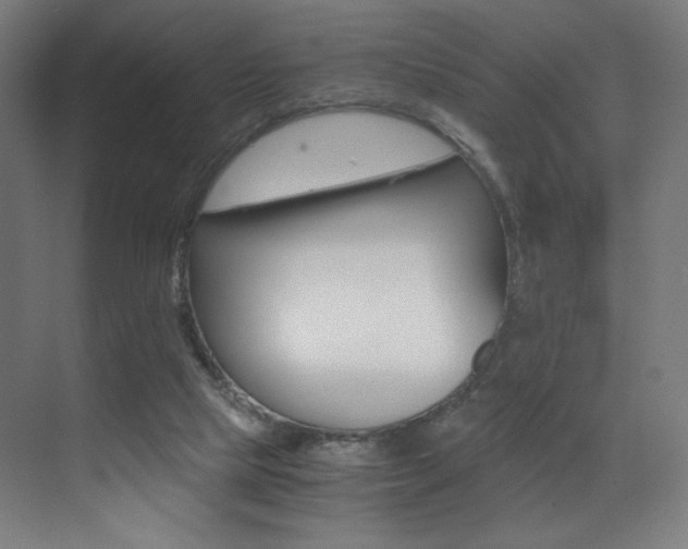 X0000073470065200607281109