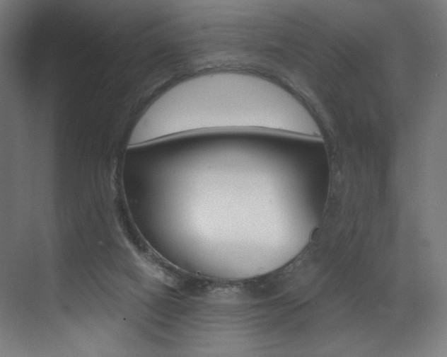X0000073470066200607281109