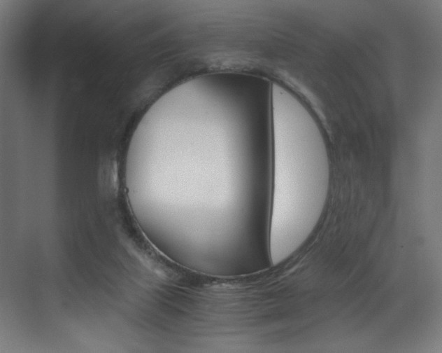 X0000073470067200607281109