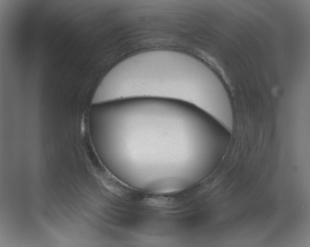 X0000073470069200607281109