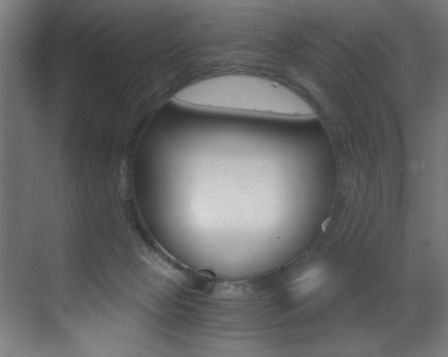 X0000073470077200607281110