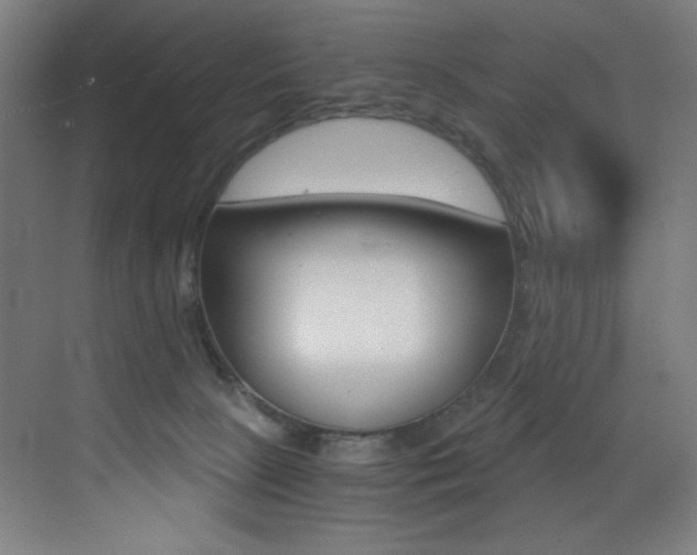 X0000073470081200607281110