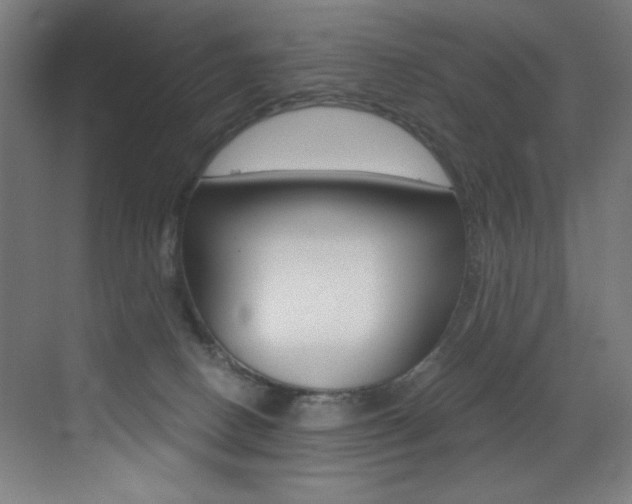 X0000073470082200607281110