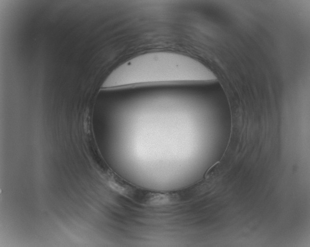 X0000073470083200607281110