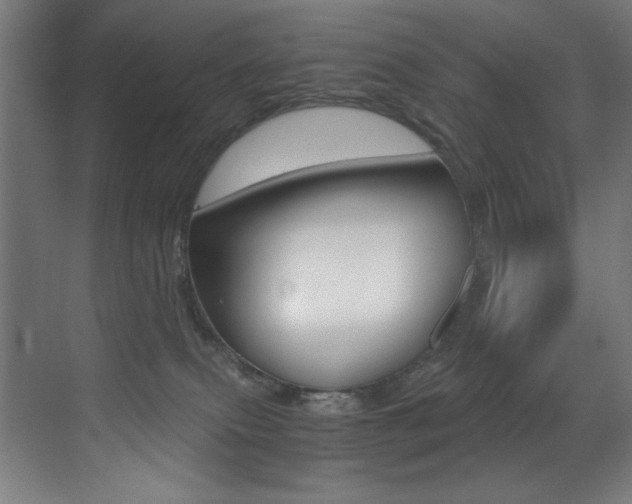 X0000073470087200607281110