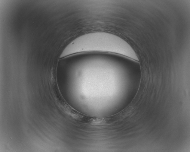 X0000073470088200607281110